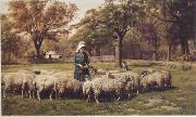 unknow artist Sheep 179 oil on canvas